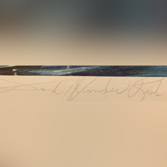 Signed and sealed / Duck Study/ Artist: David Risk - Picture 2 of 2